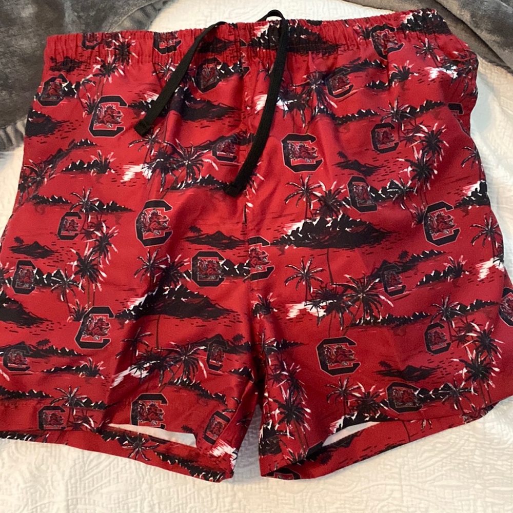 Brand new. South Carolina gamecocks bathing suit/swimming shorts.